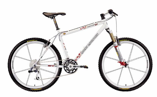 2001 Rocky Mountain Vertex Team SC Value & Price Guide | Bicycle